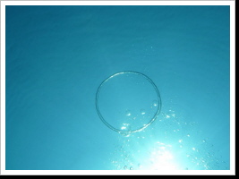 Weil es unter Wasser nicht so viel zu sehen gab Weil es unter Wasser nicht so viel zu sehen gab